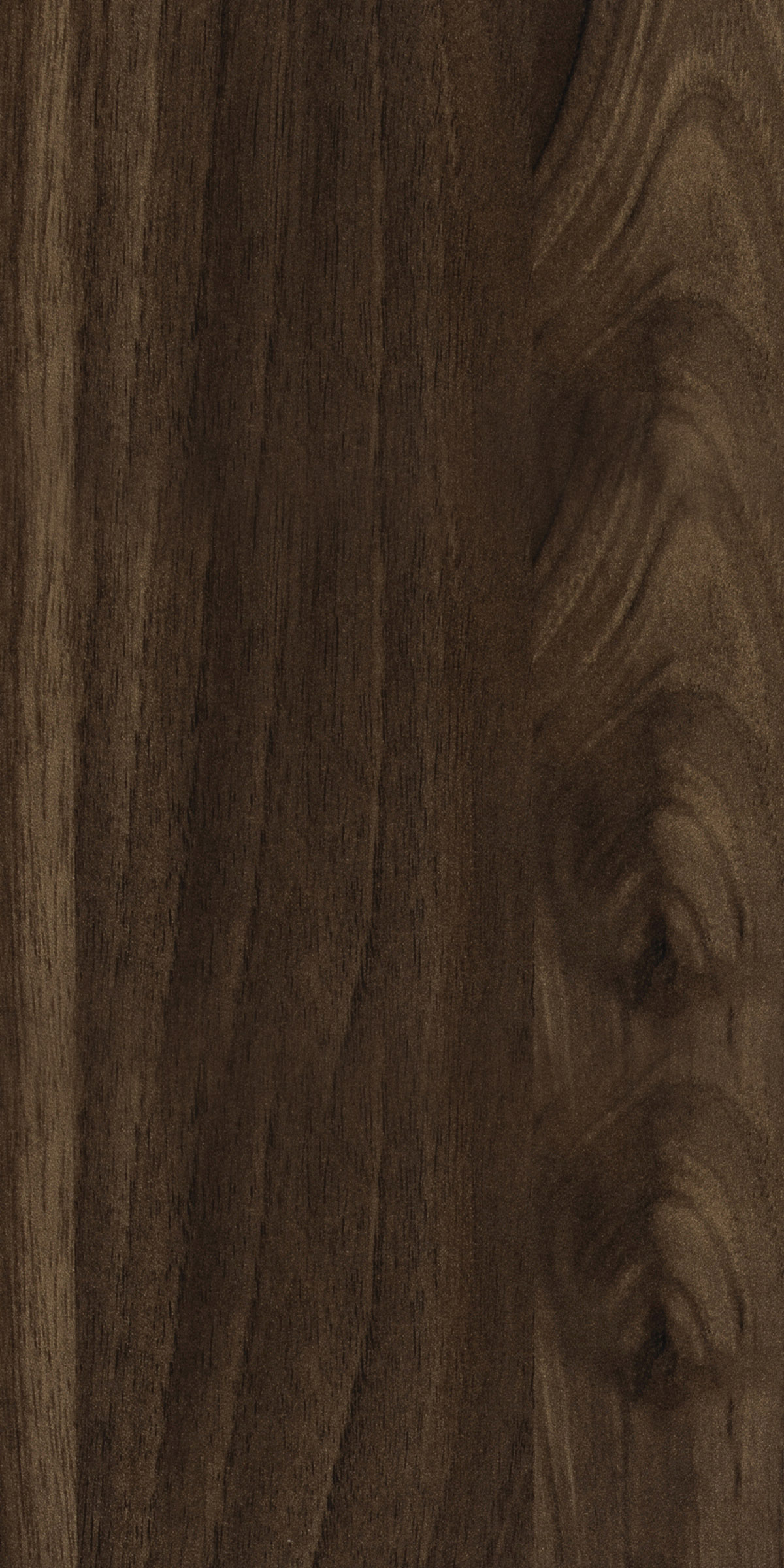 CYPRUS DYED