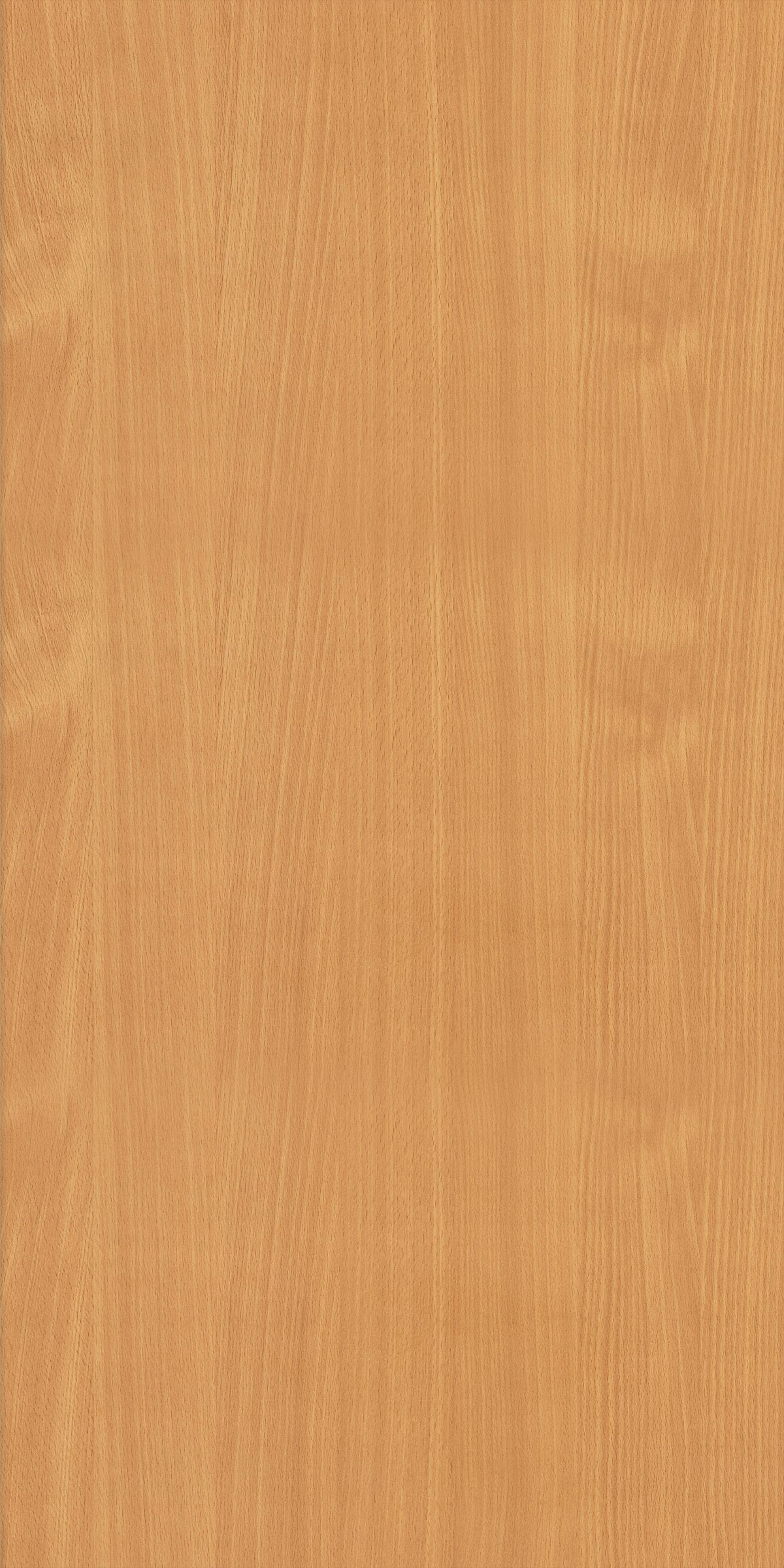 BAVARIAN BEECH