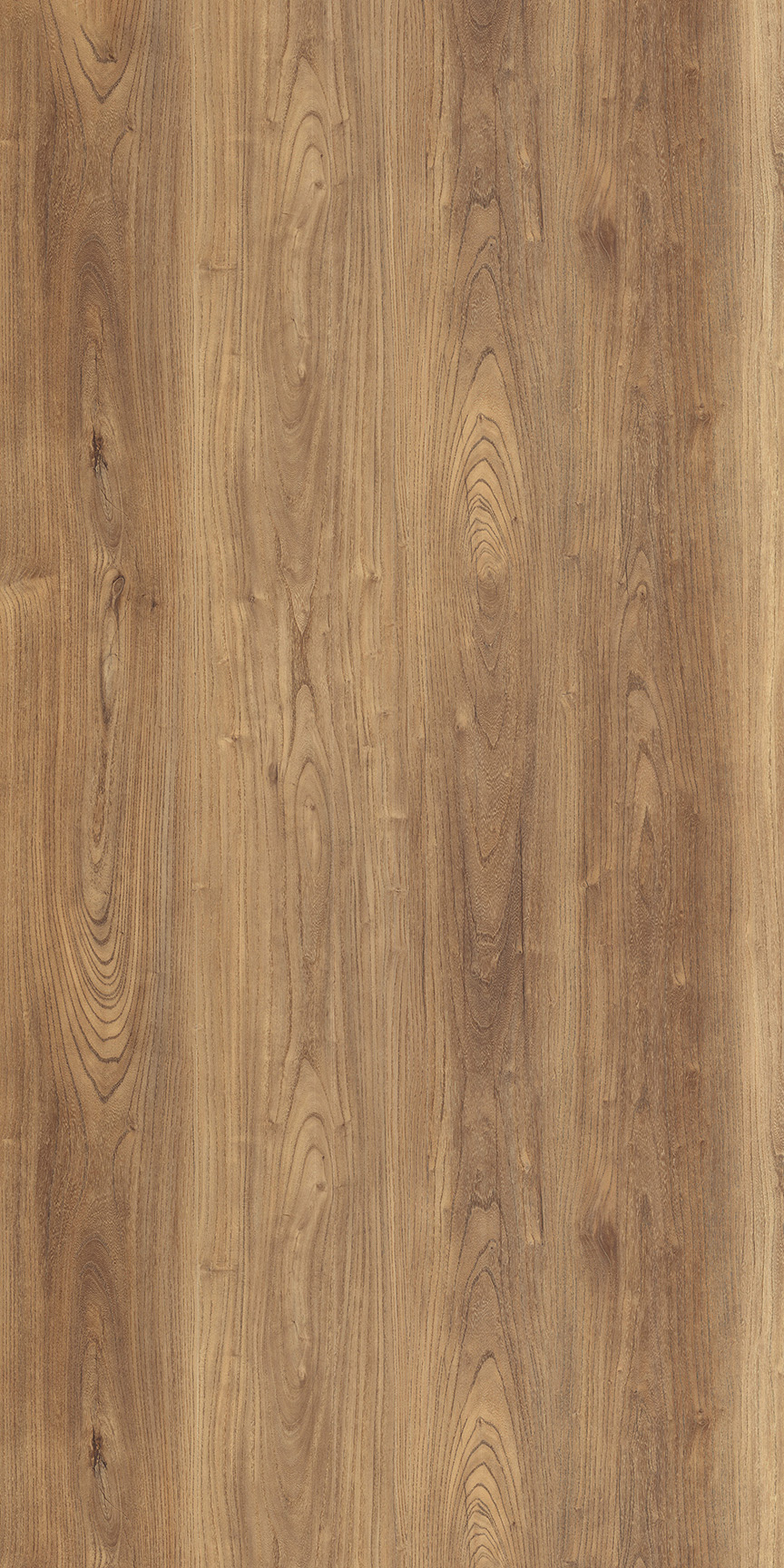 BELGIAN OAK