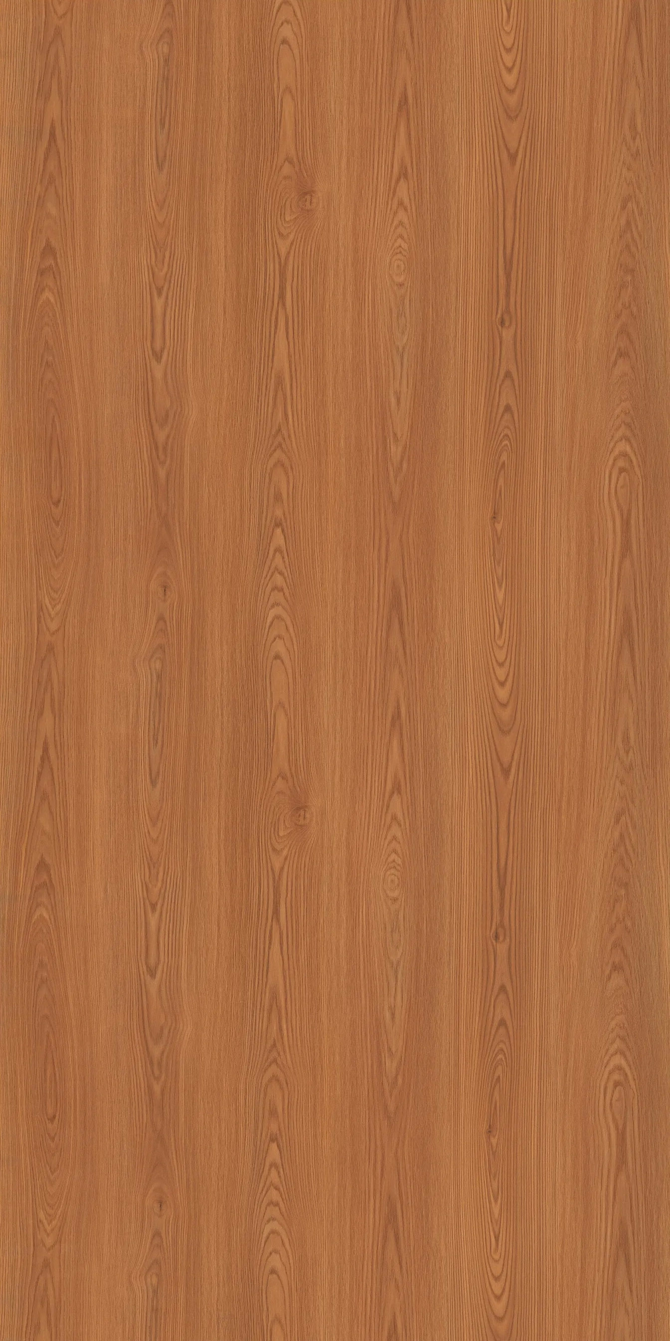 KITAMI ELM DARK