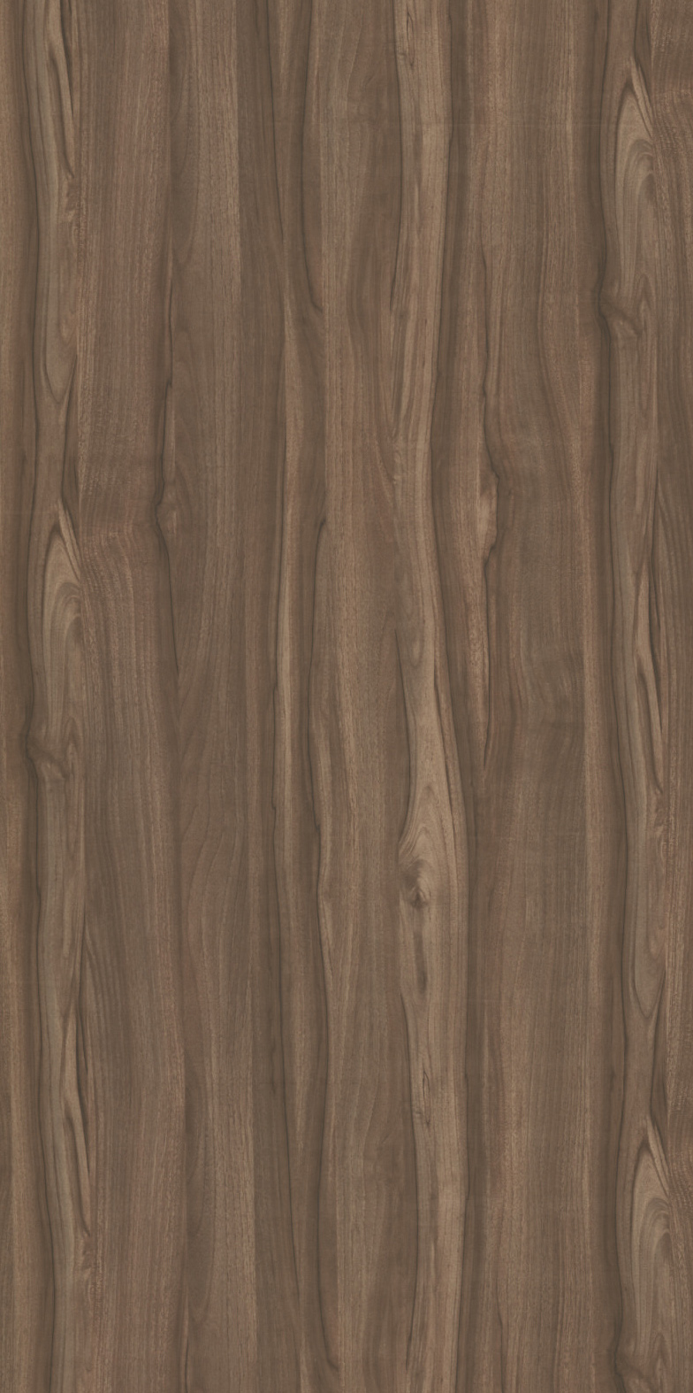 JAKARTA WALNUT