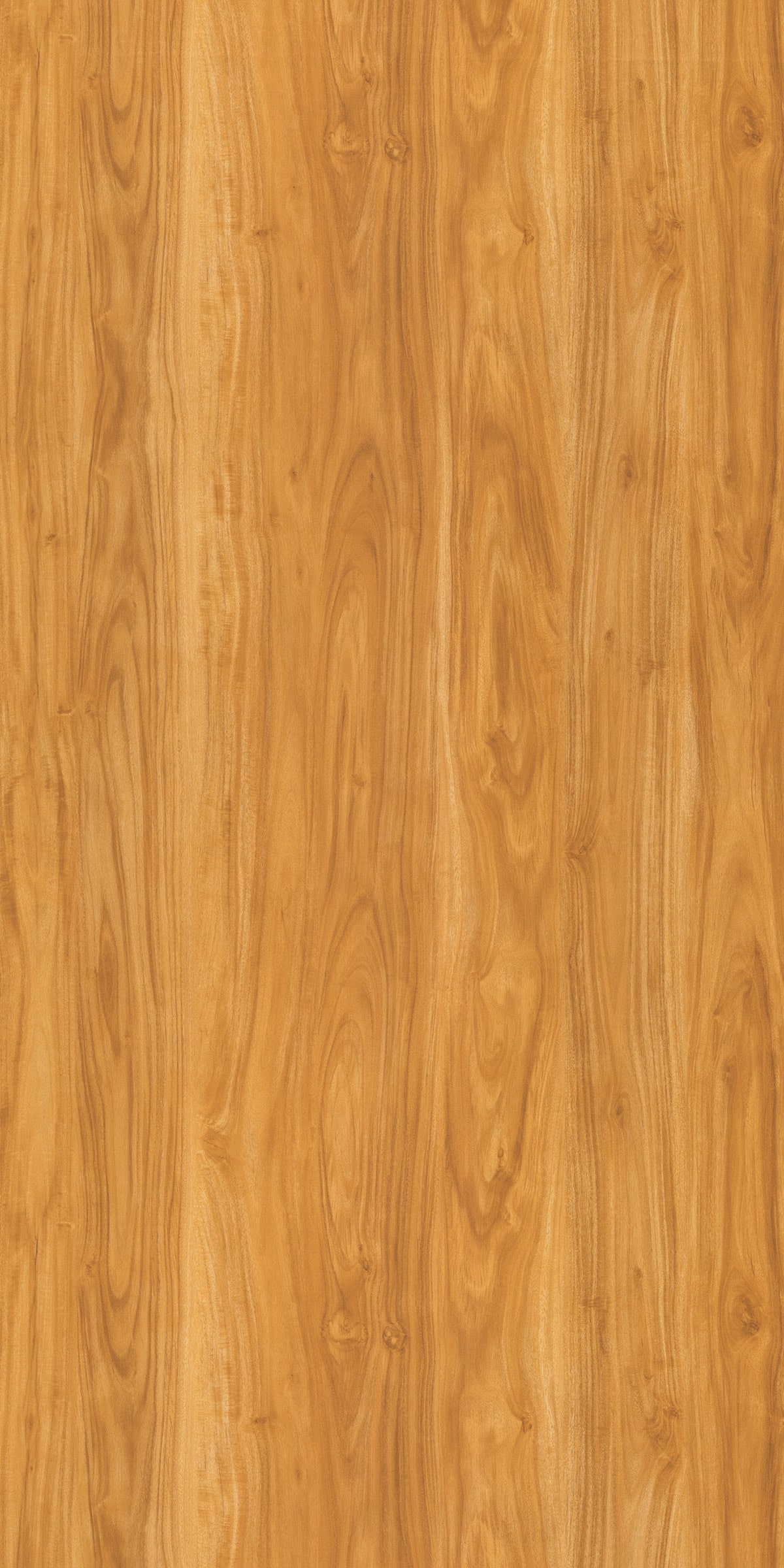GIGAN WALNUT