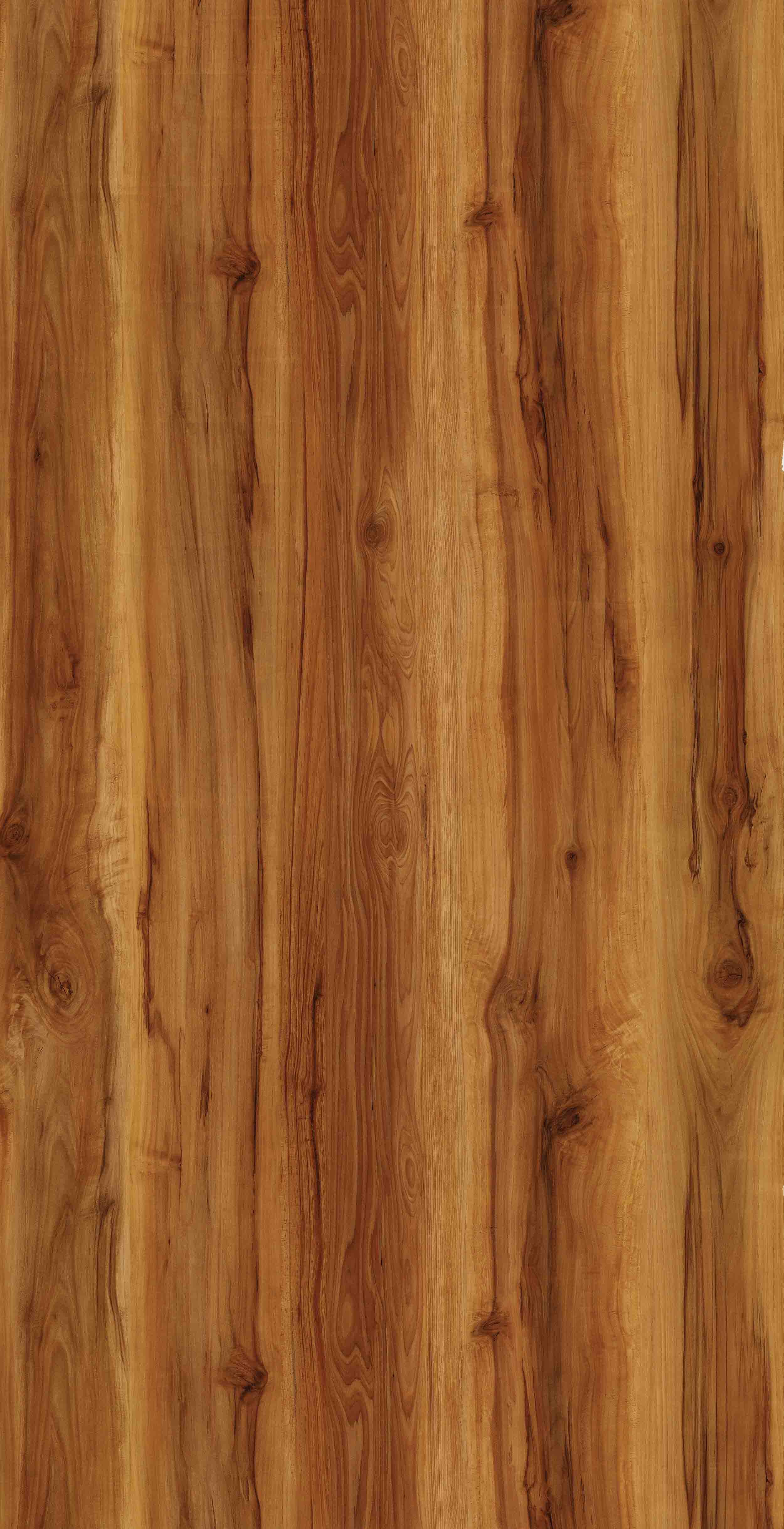 BELMOUNT WOOD