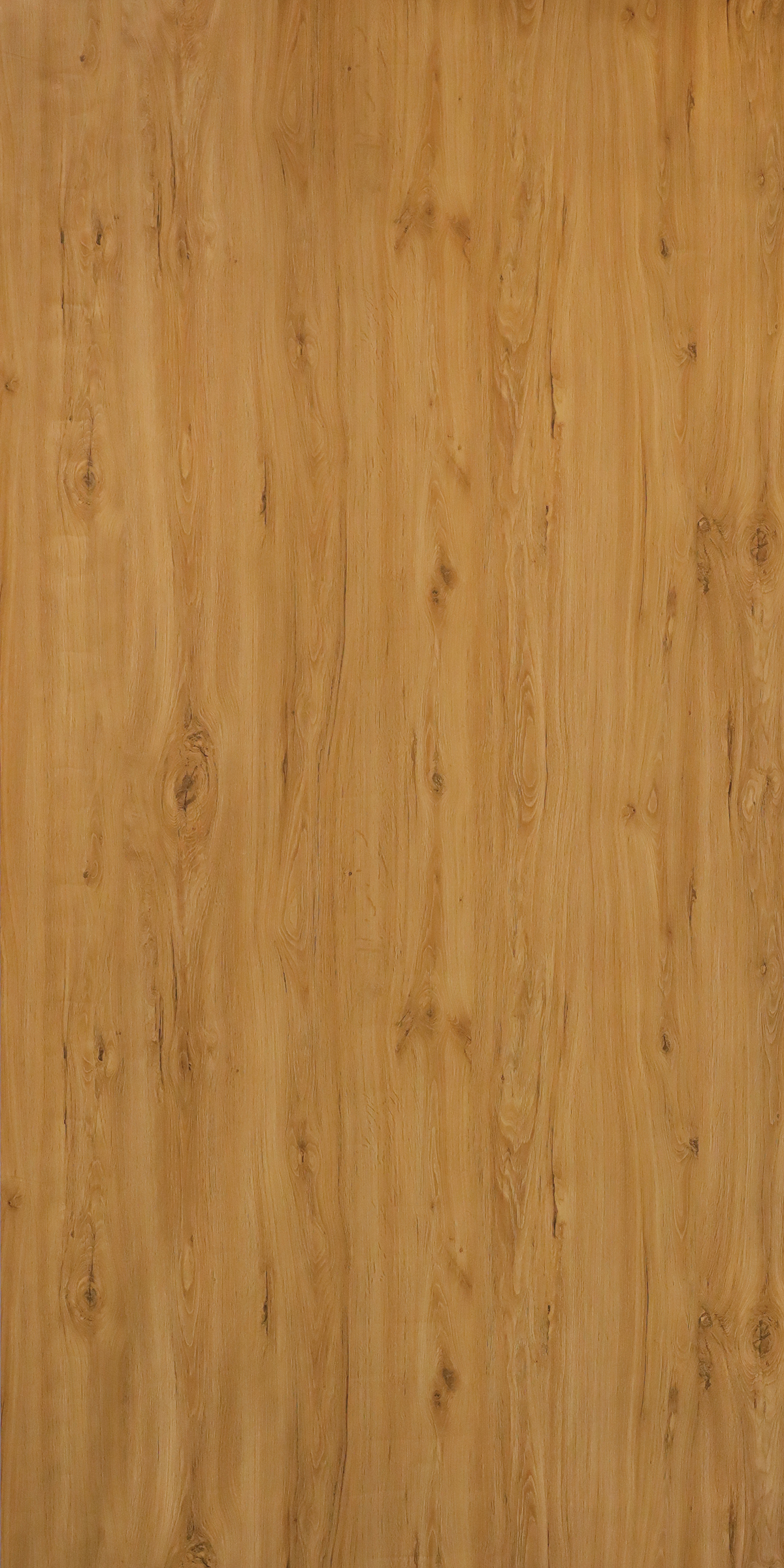 SARIL WALNUT BROWN