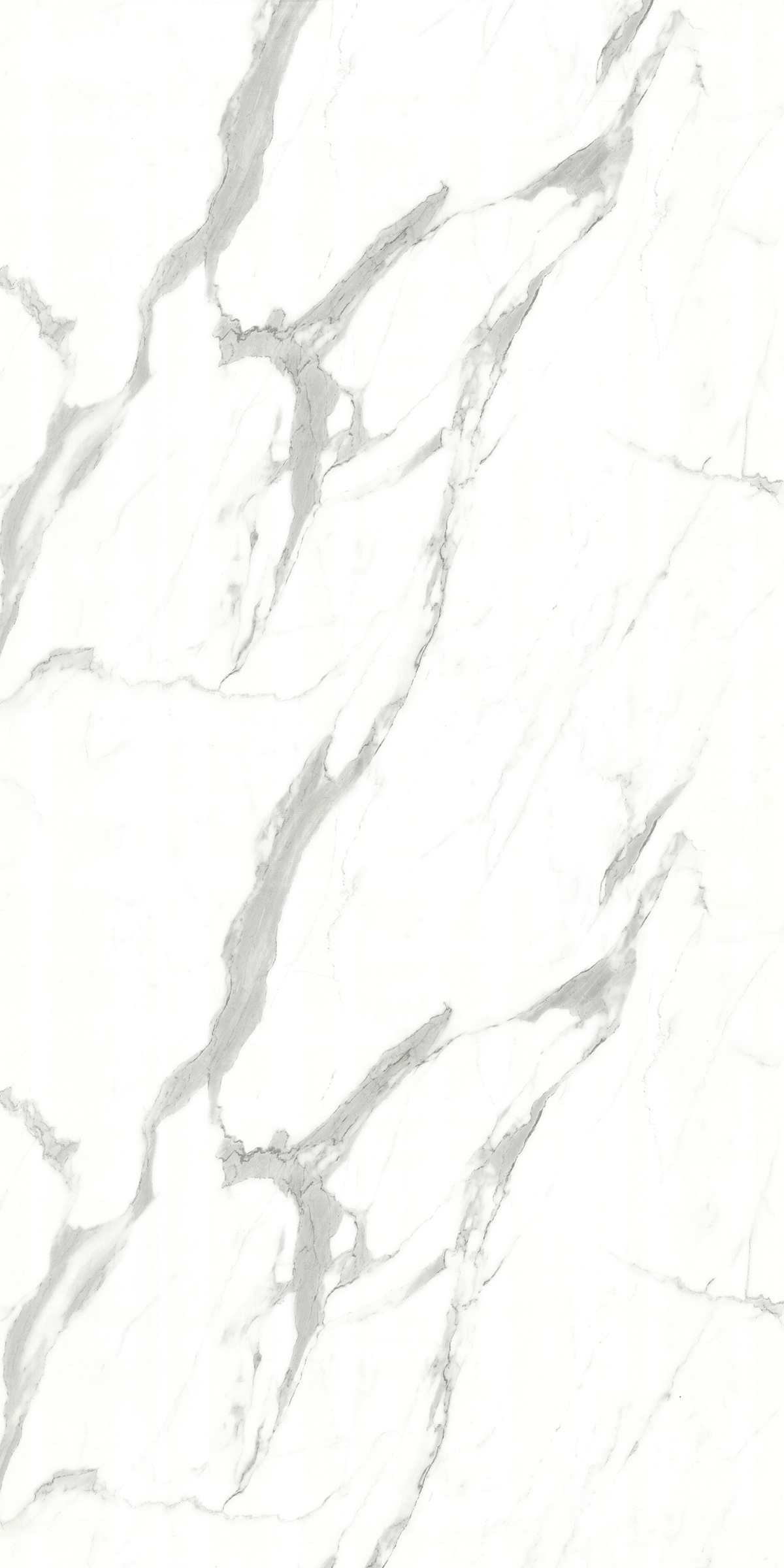 SUTVARIYO WHITE