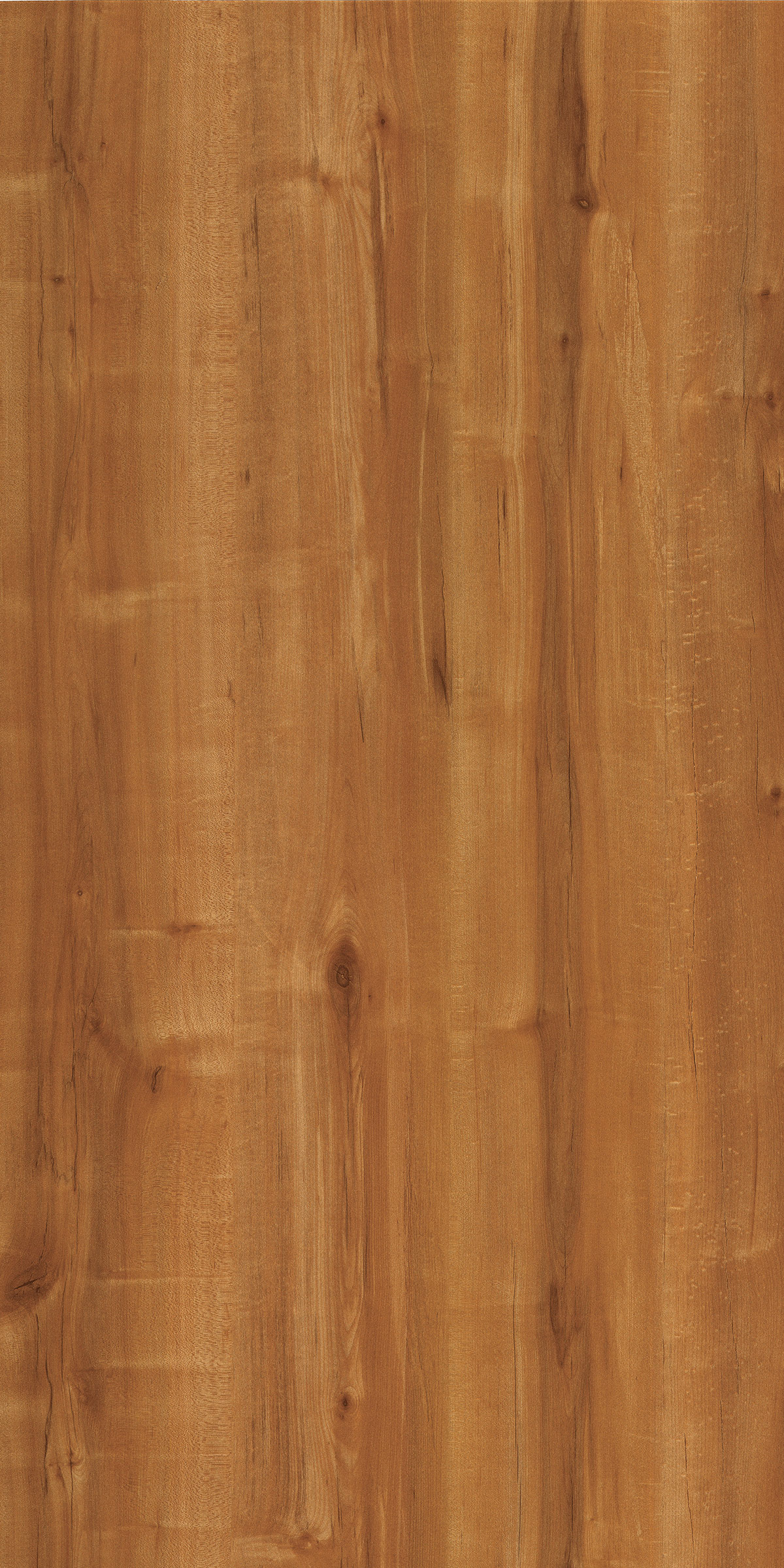 PECIFIC LORELL LIGHT