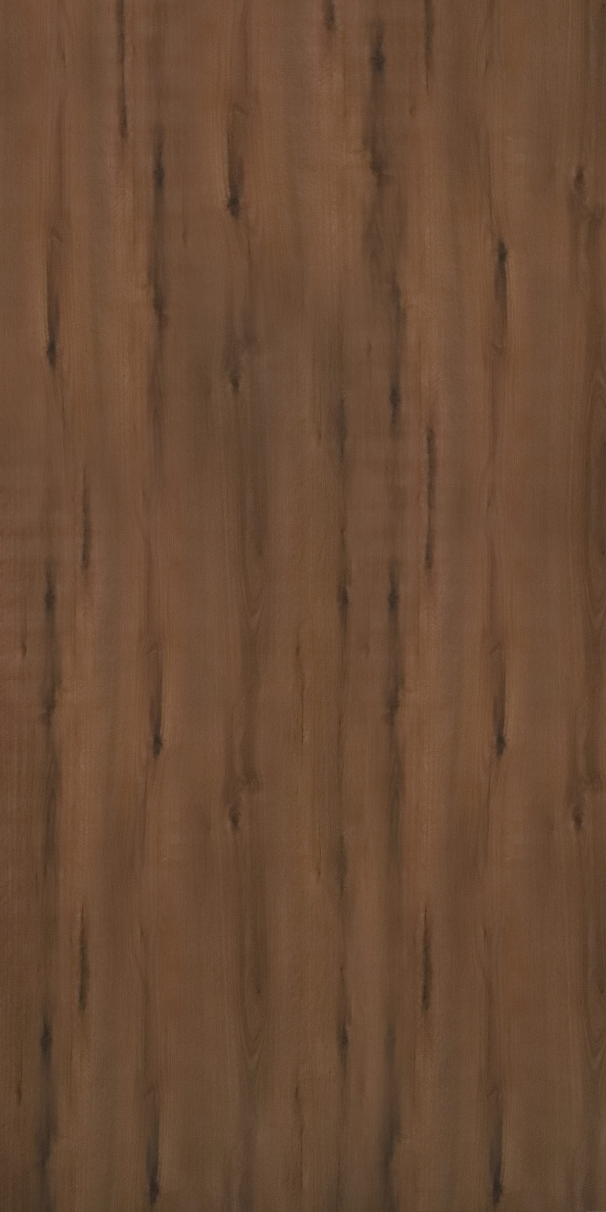 TONGDA WALNUT