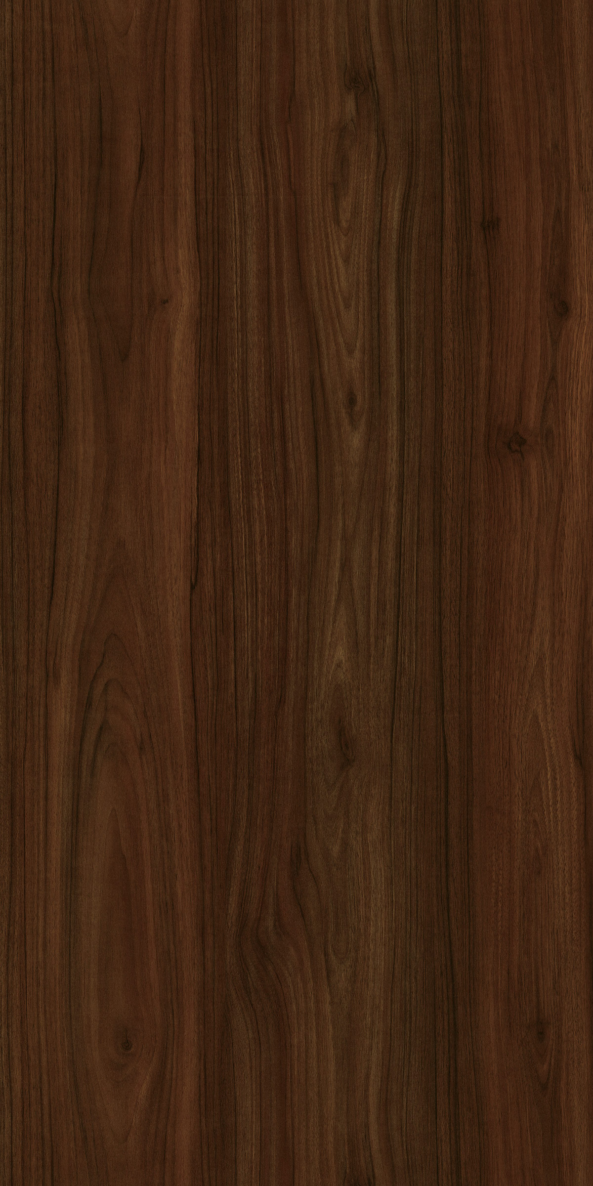 SAMBA WALNUT