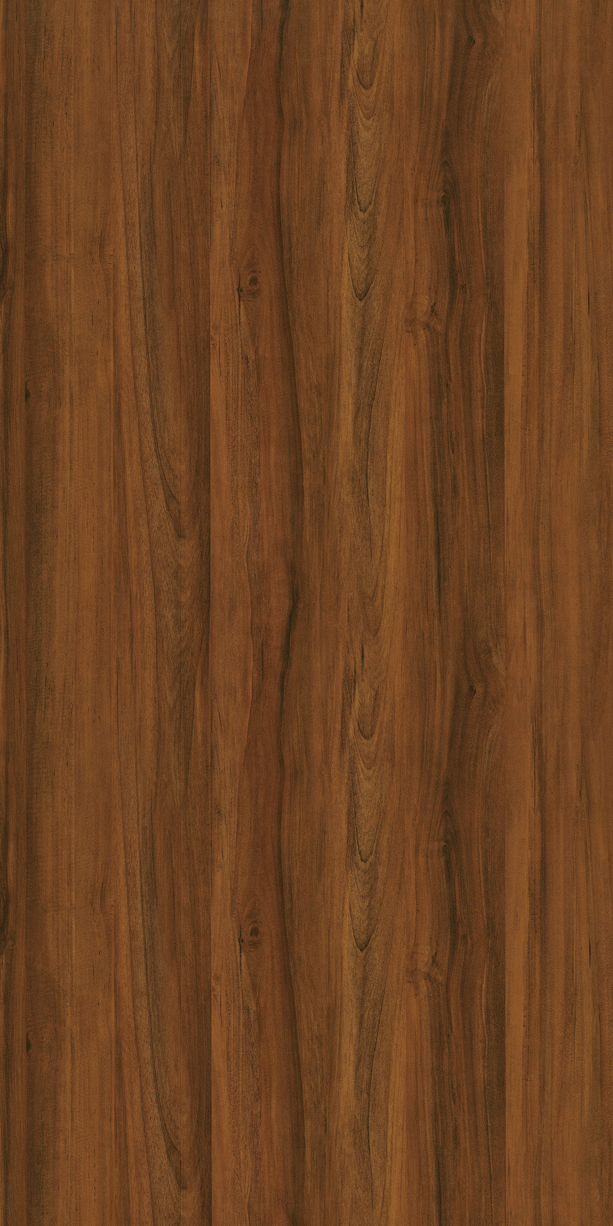 GINGER OAK