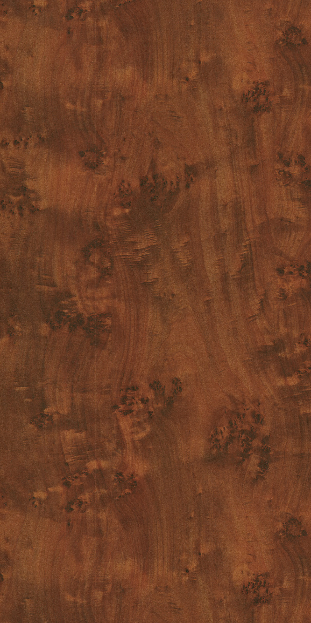 COLUMBIAN BURL
