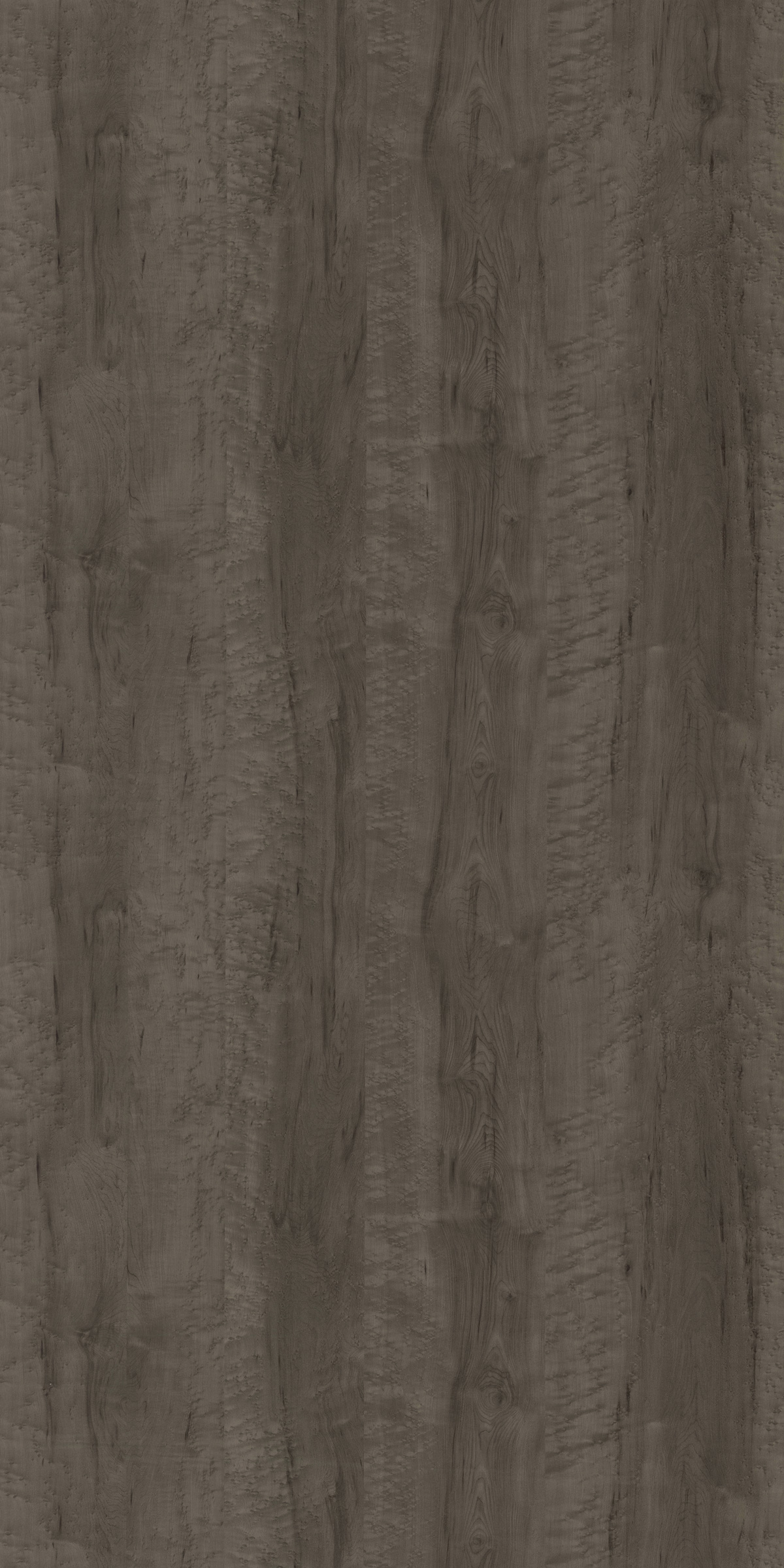 BRUNT FRENCH FUR