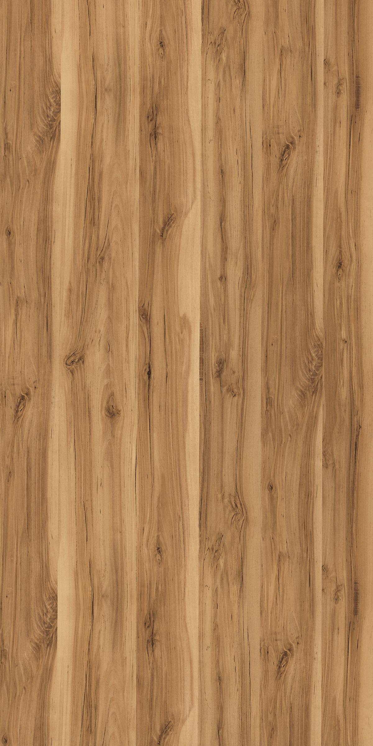 BLURRED CEDAR