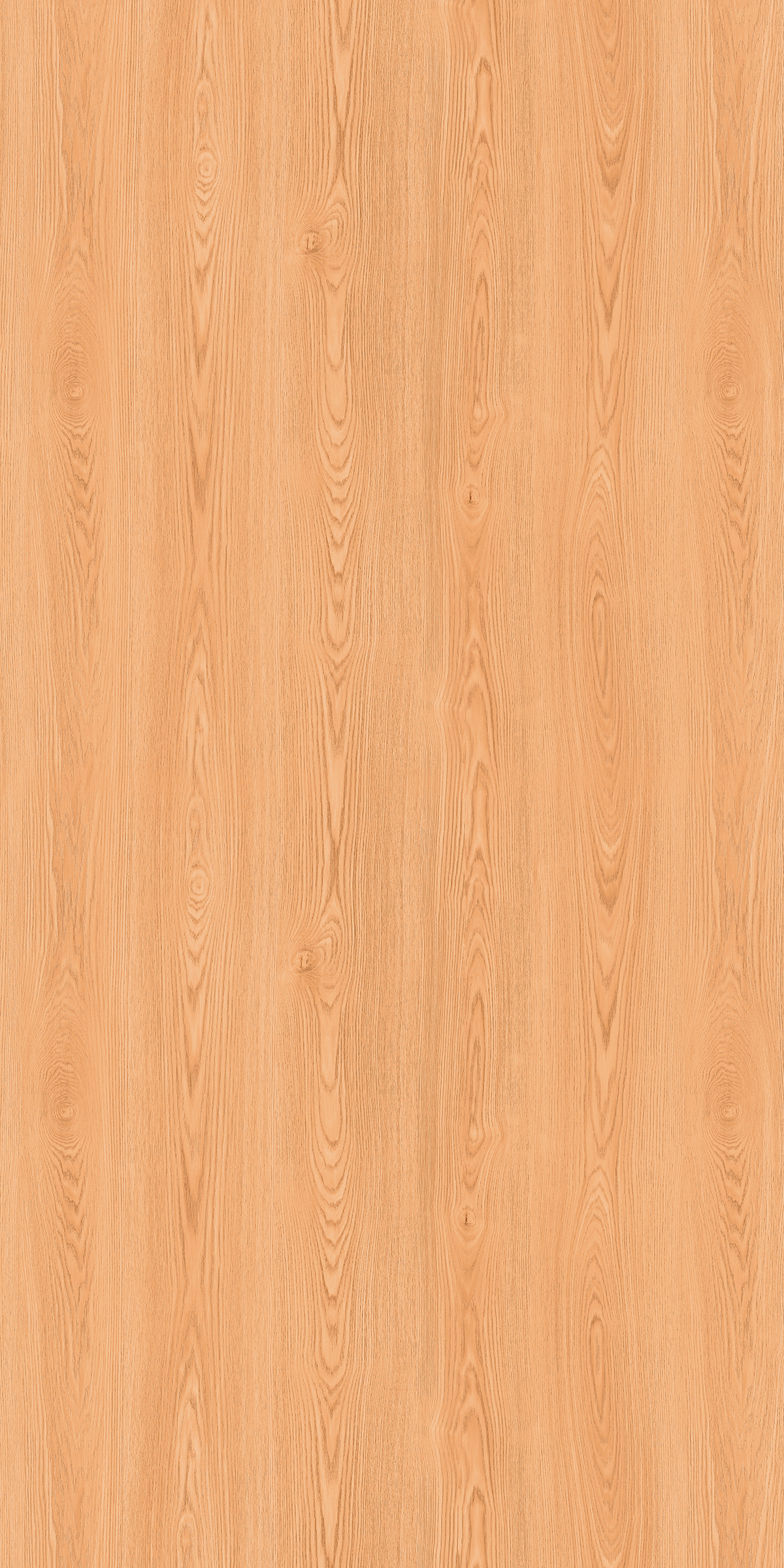 OLIVE ASH
