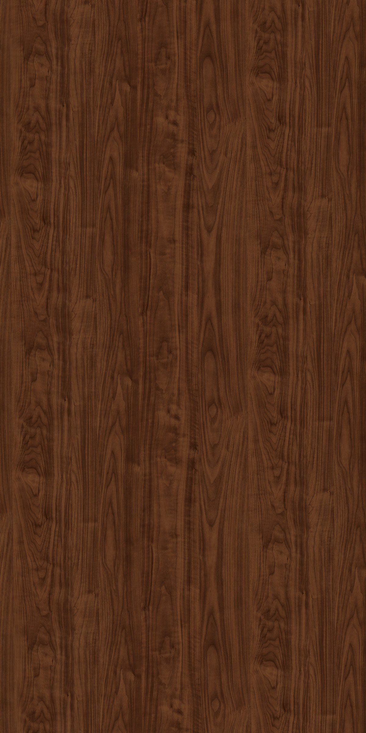 CHERRY MAPLE