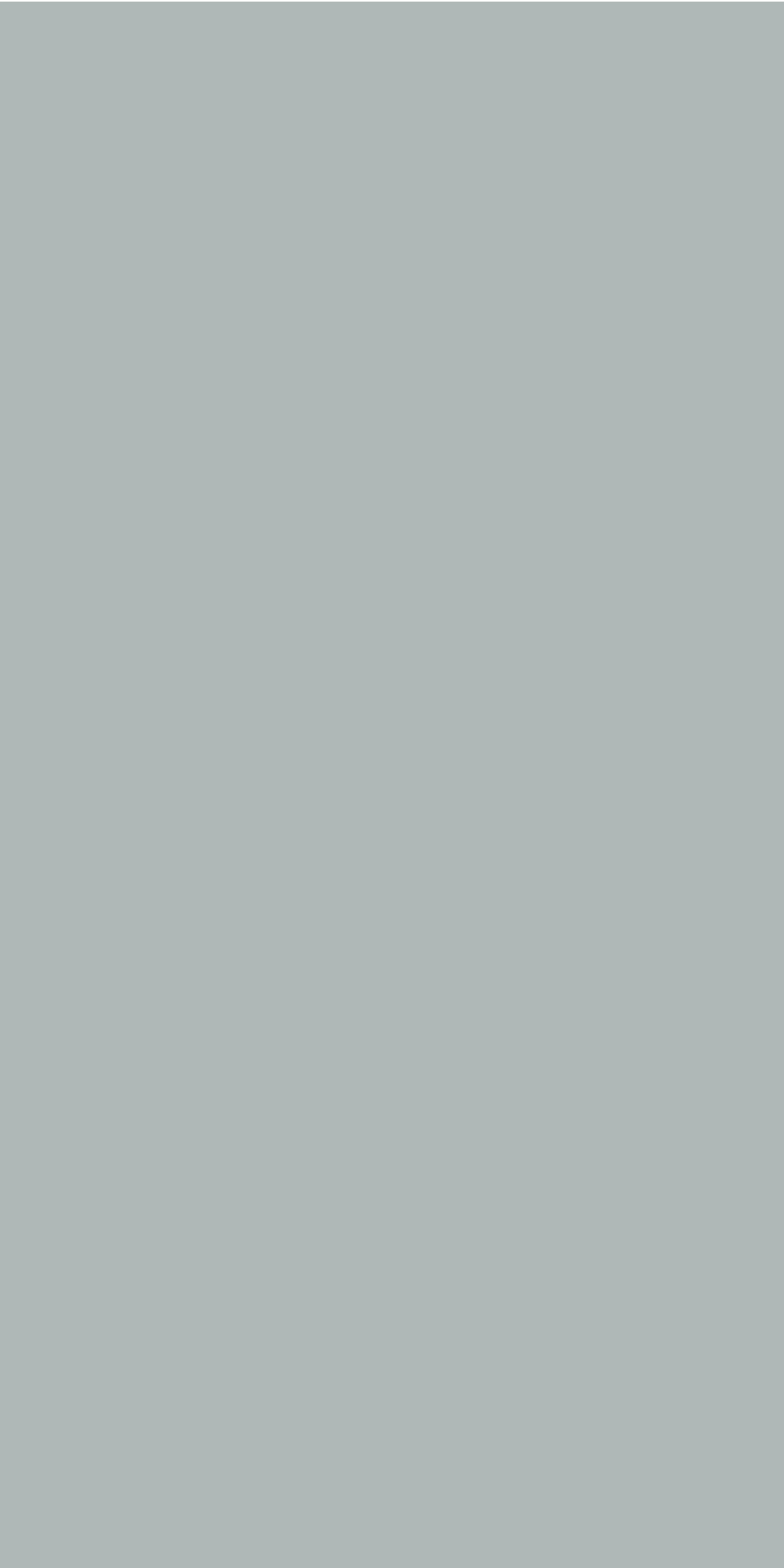 PREMIE GREY