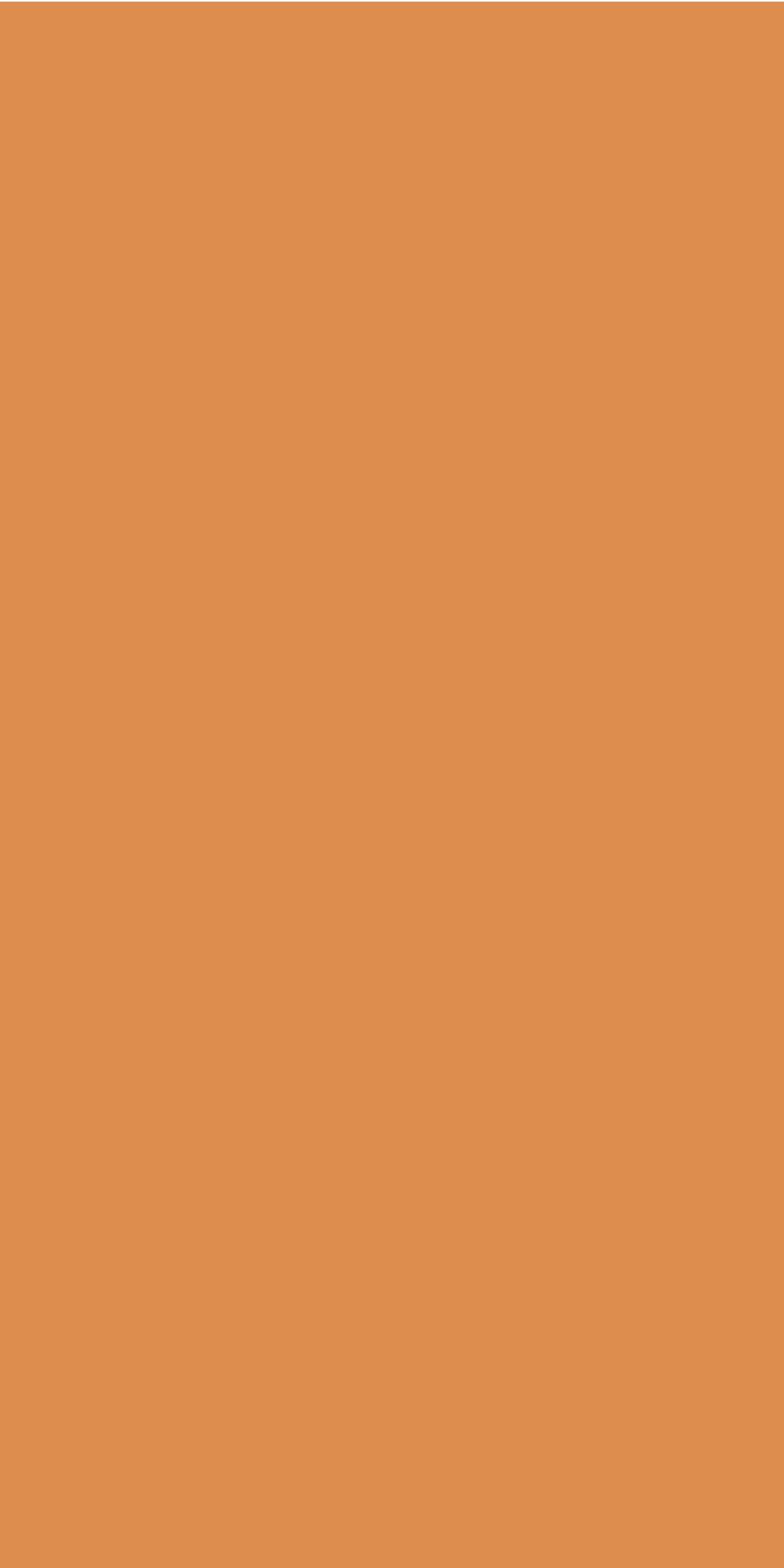 DRY PUMPKIN