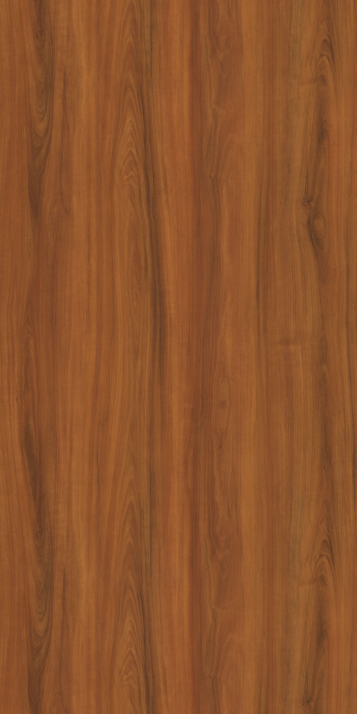 YELLOW GOLD CHESTNUT