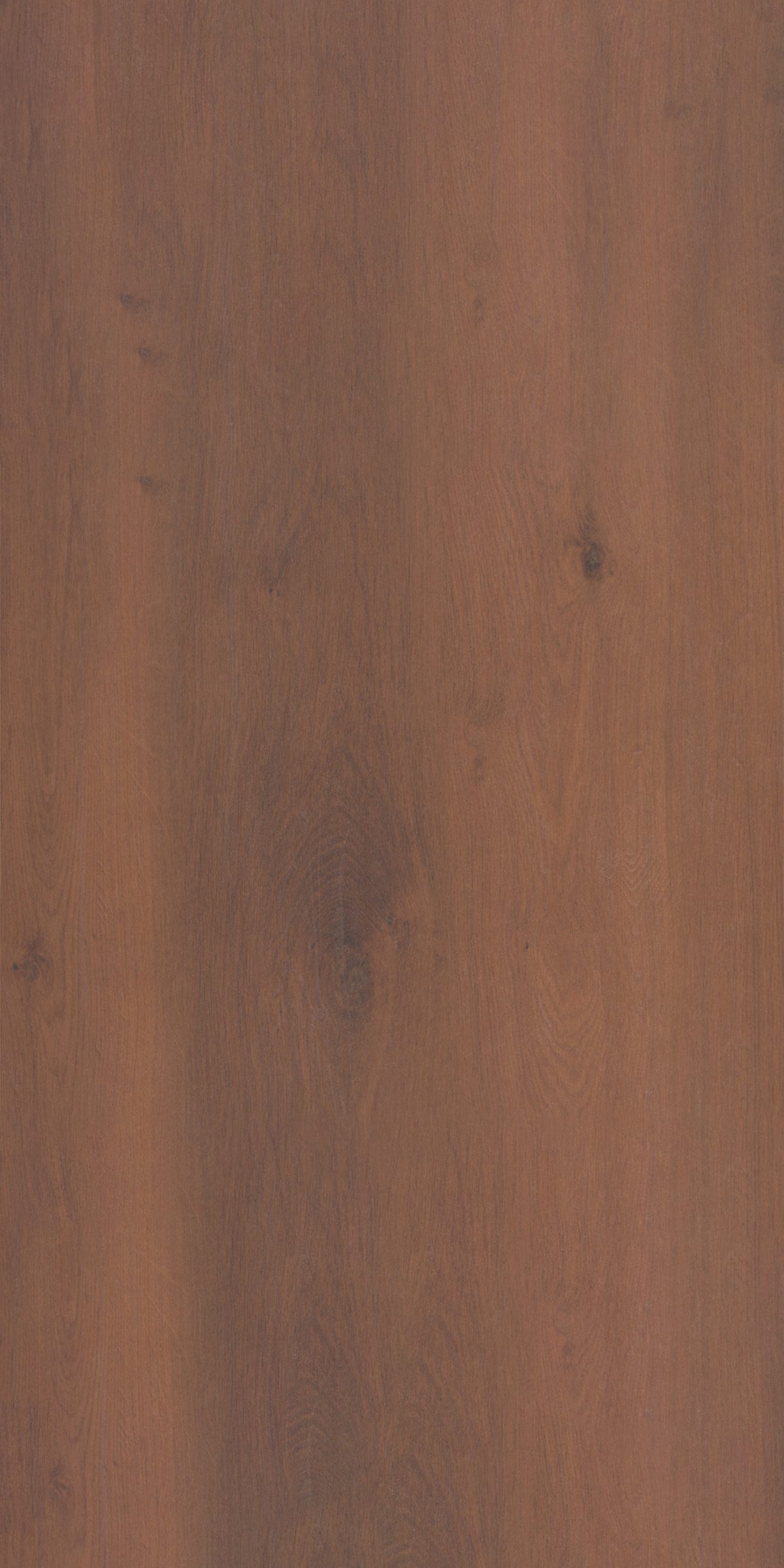 Yellow Palm Walnut
