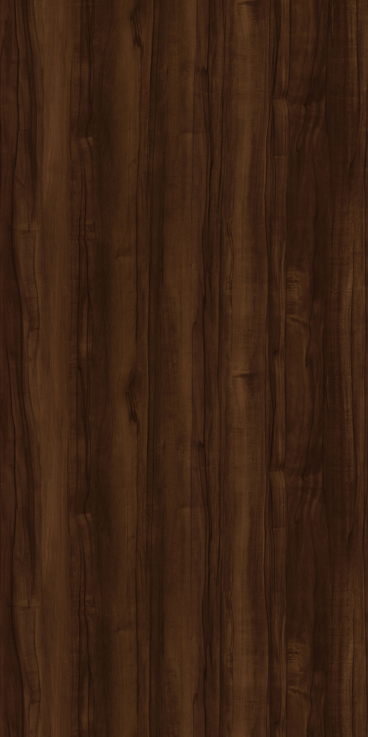 Golden Palm Walnut